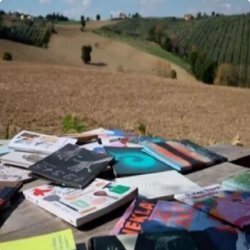 Paesaggi dello sguardo