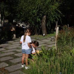 Piante allo zoo - Laboratorio per bambini