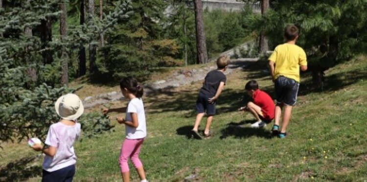 Piante in viaggio - Laboratorio per bambini