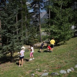 Piante in viaggio - Laboratorio per bambini