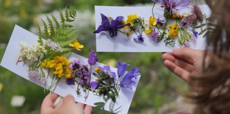 Piccoli esploratori del Giardino