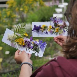 Piccoli esploratori del Giardino