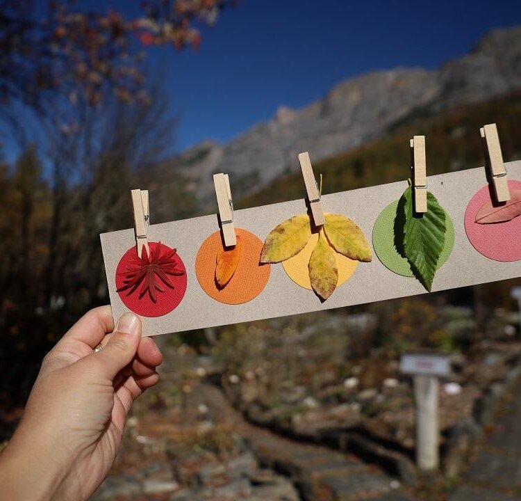 Lab-bambini-foglie-colorate