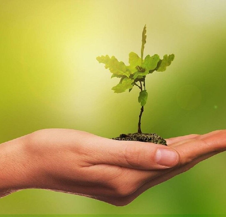 PuliAMO Bormio - Cleanup Day "Ecomissioni"