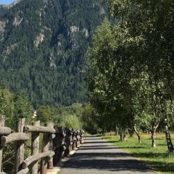 Raduno dei gruppi di cammino