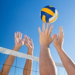 Torneo di pallavolo