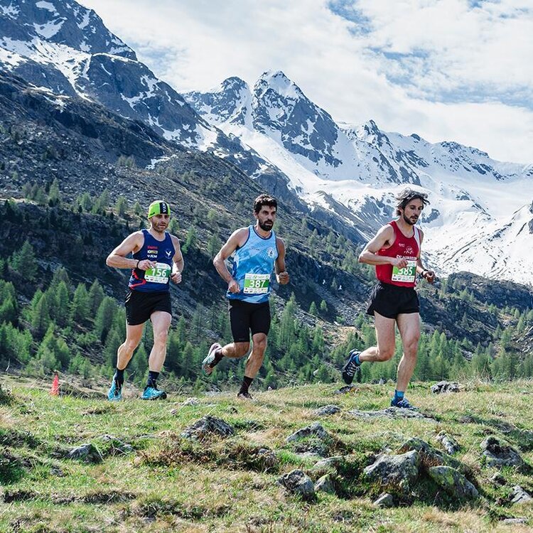 Trailrun Alta Valtellina