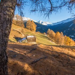 TREKKING D’AUTUNNO E FOLIAGE