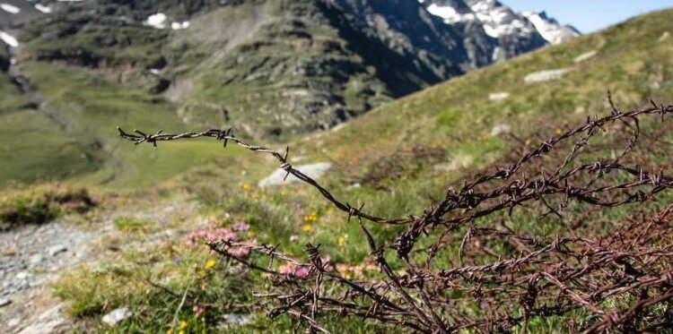 Trekking del Giovedì - CAMMINANDO NELLA STORIA