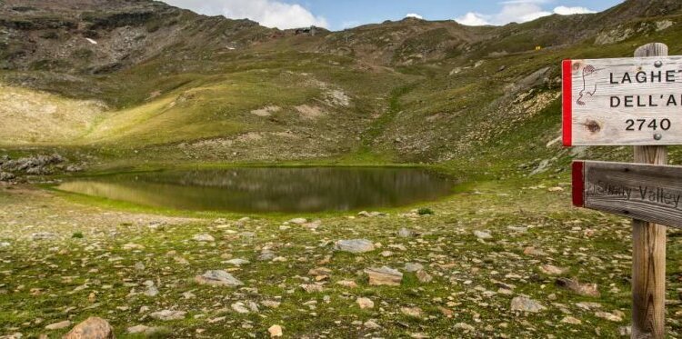 Trekking della Domenica - EDELWEISS TREKKING