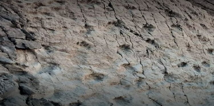 Trekking sulle tracce dei dinosauri