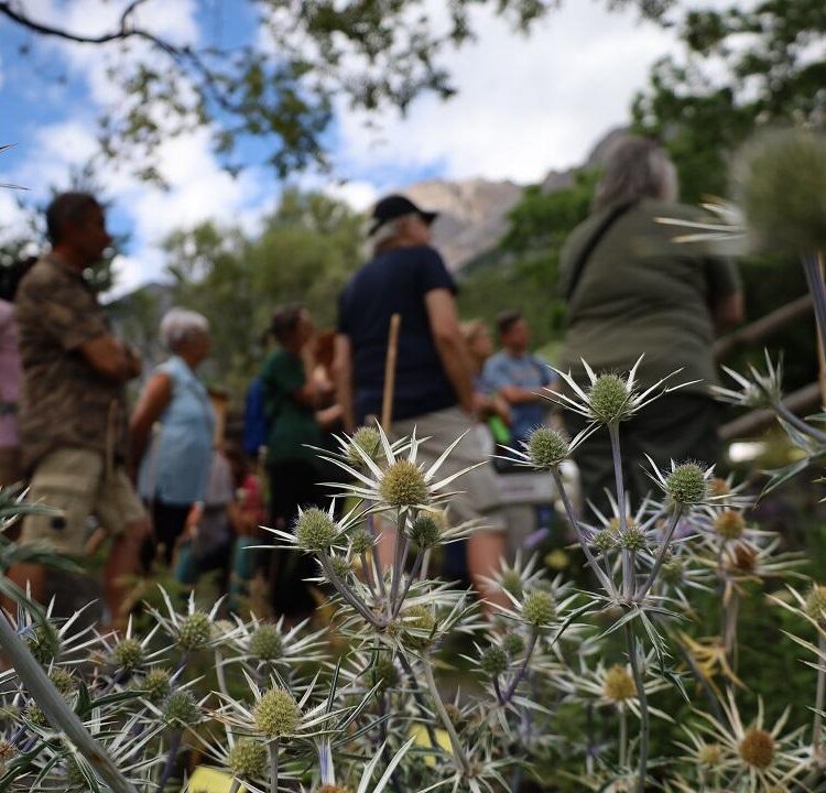 Visite-guidate-giardino-botanico
