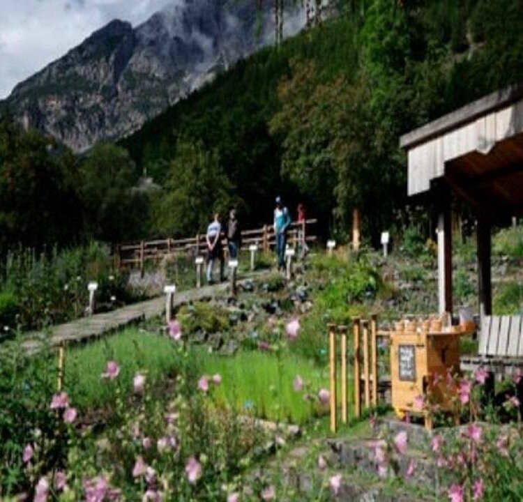 Visite guidate al Giardino Botanico