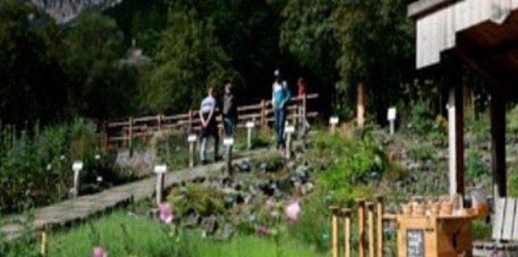 Visite guidate al Giardino Botanico