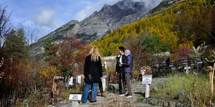 Visite guidate al Giardino Botanico