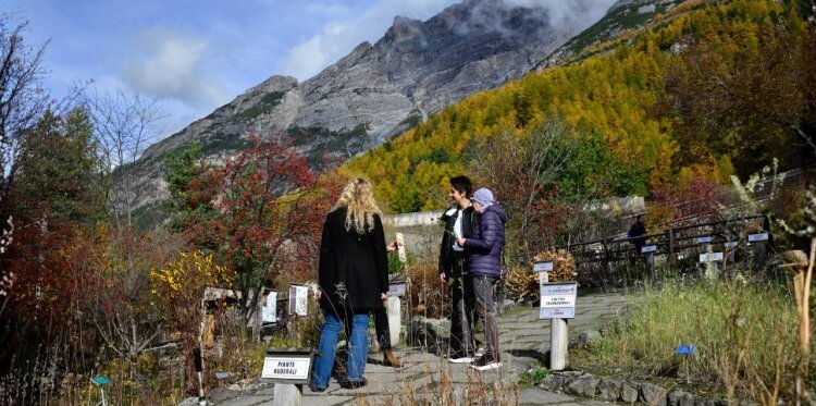 Visite guidate al Giardino Botanico