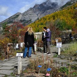 Visite guidate al Giardino Botanico: Piante in Viaggio