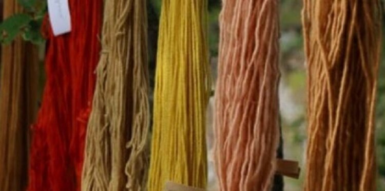Workshop di impronte botaniche