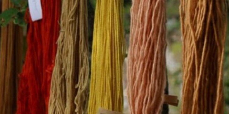 Workshop di impronte botaniche