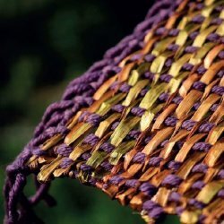 Workshop: Ghirlande di fine estate