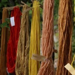 Workshop produzione di carta riciclata