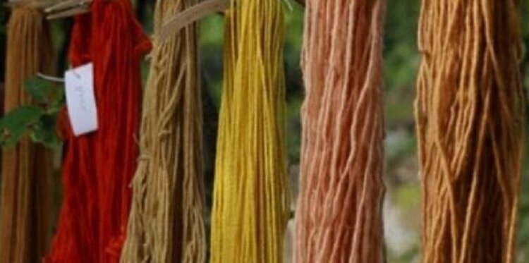 Workshop produzione di carta riciclata