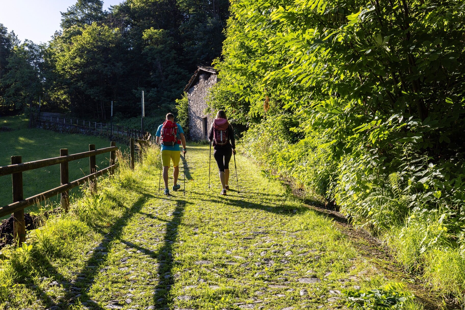 Img2 621416314 Default Variant