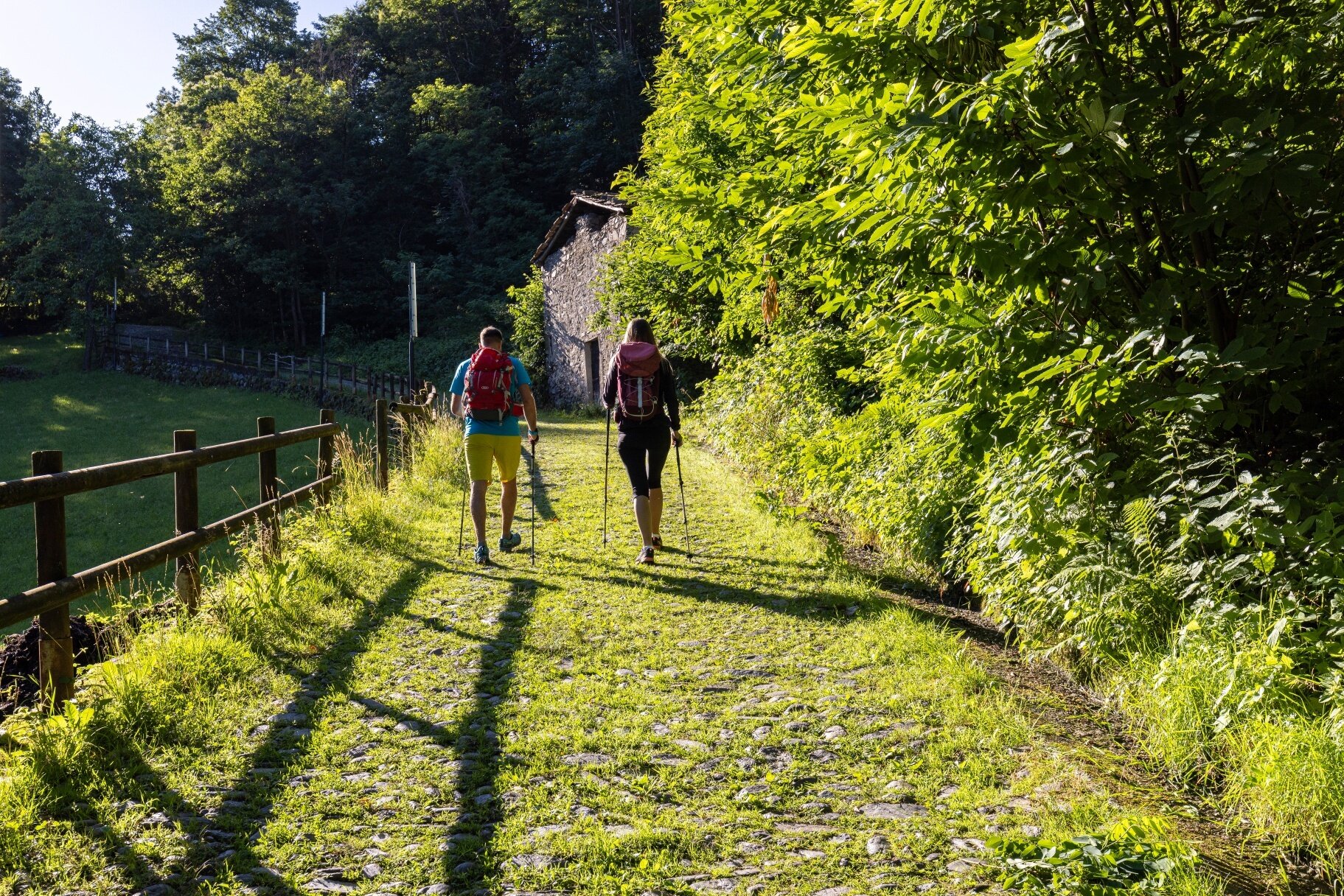 Img2 621416314 Default Variant