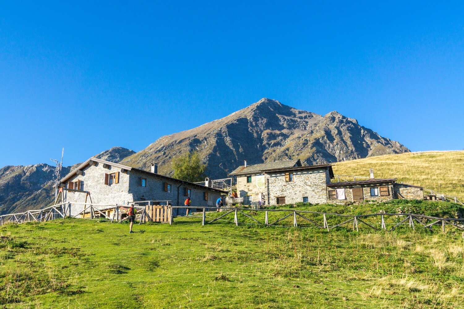 Img2 621391744 Default Variant