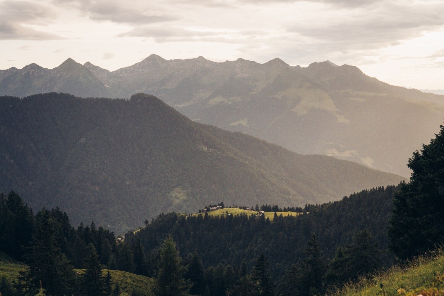 Img2 617417227 Default Variant