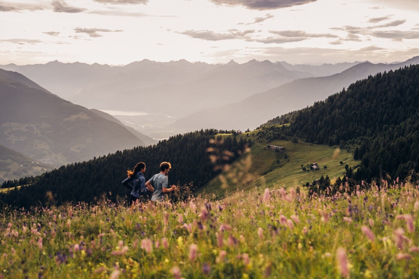 Img2 617417226 Default Variant