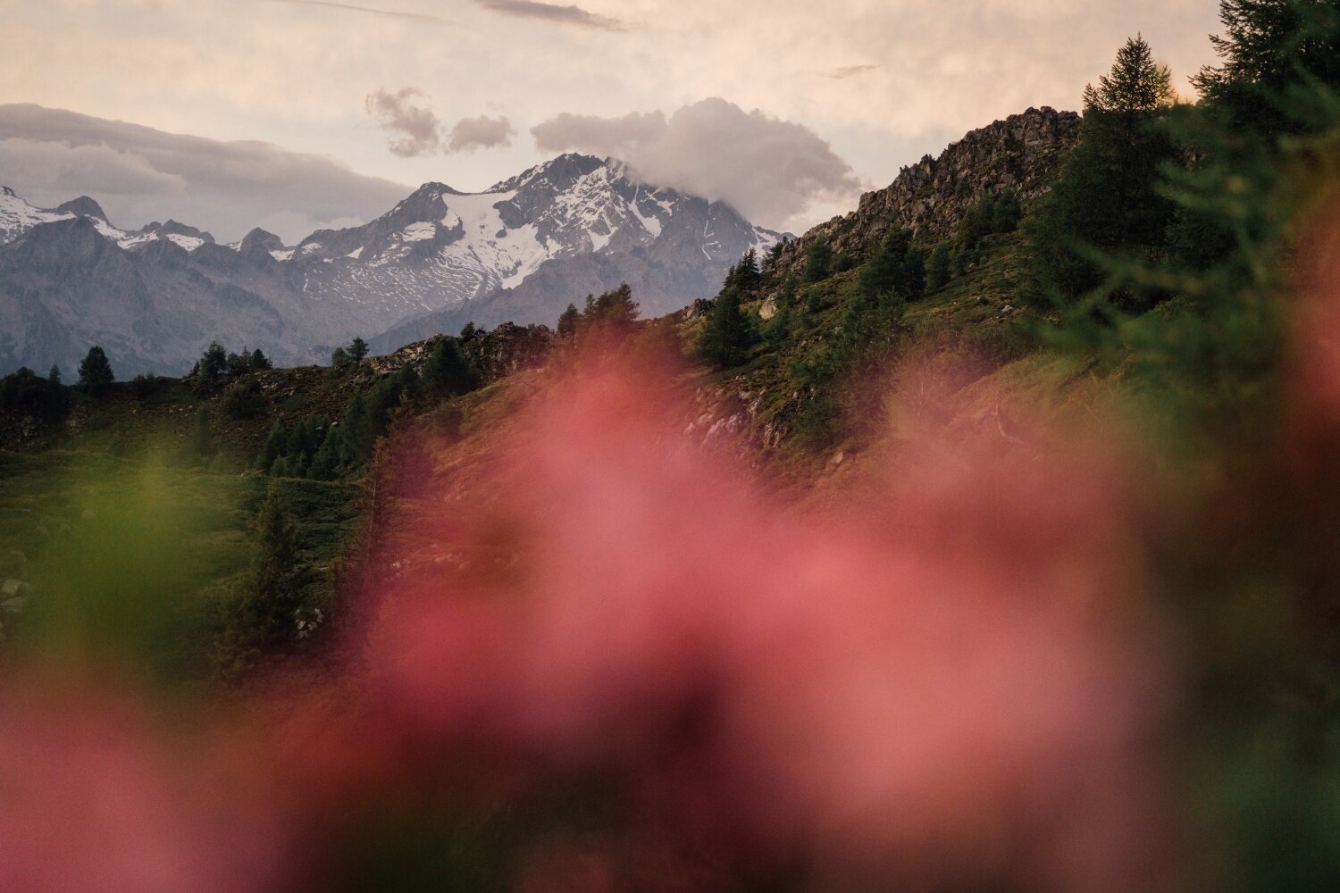 Img2 617475725 Default Variant