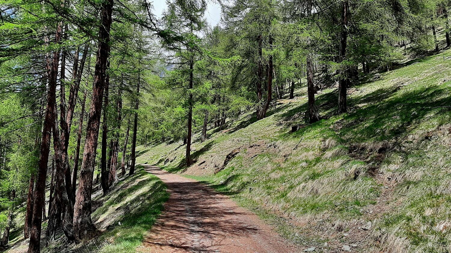 Military road