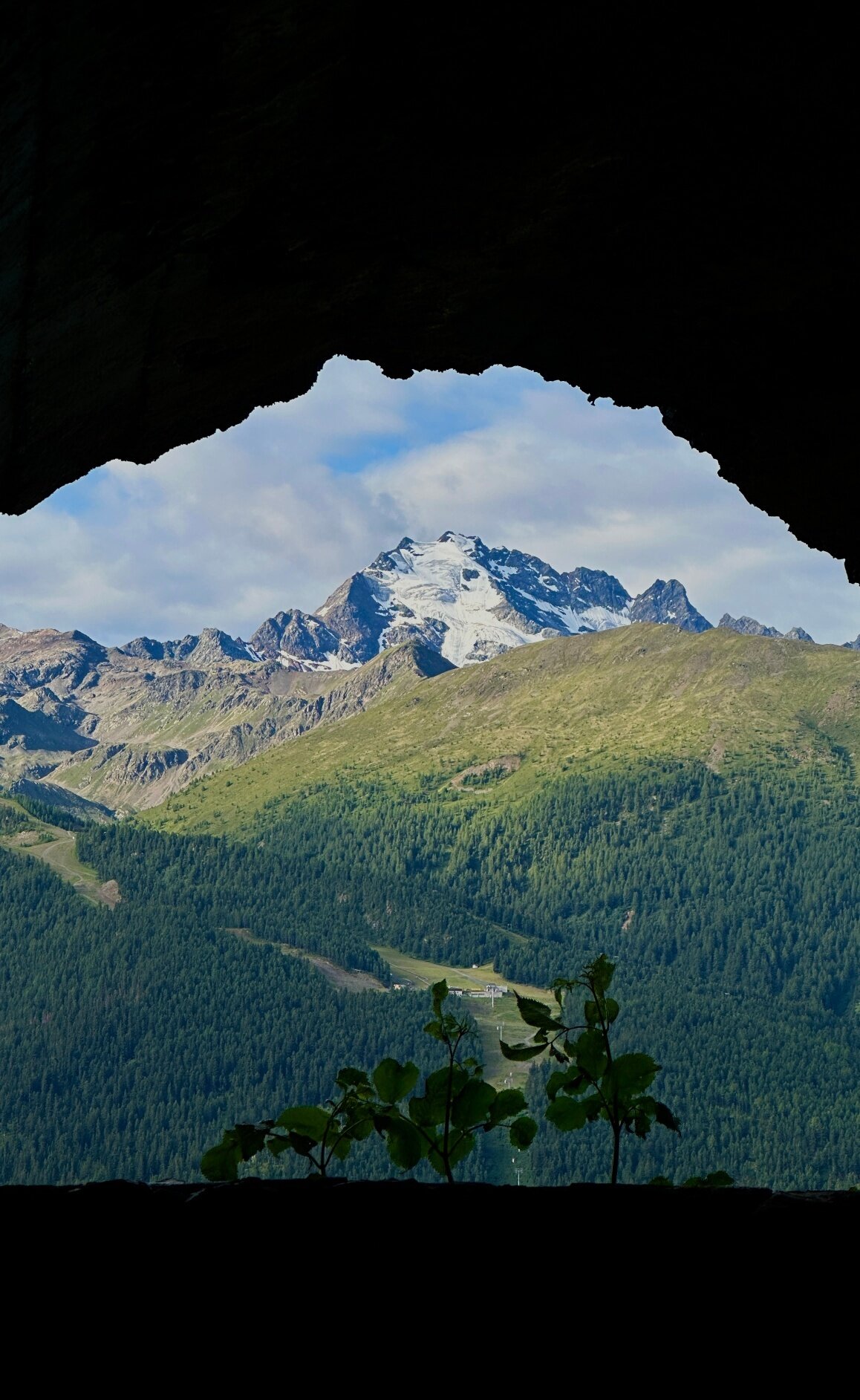 Img2 620004013 Default Variant