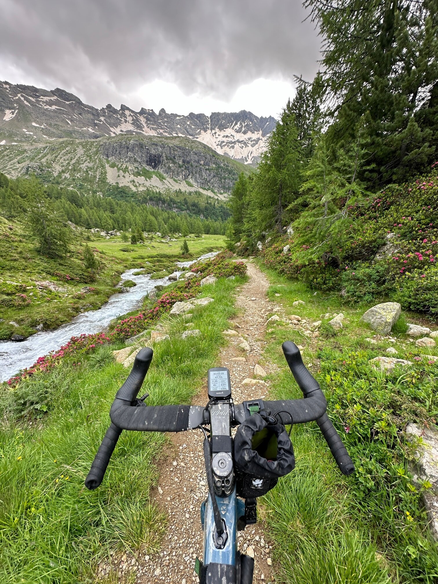 Img2 620004374 Default Variant