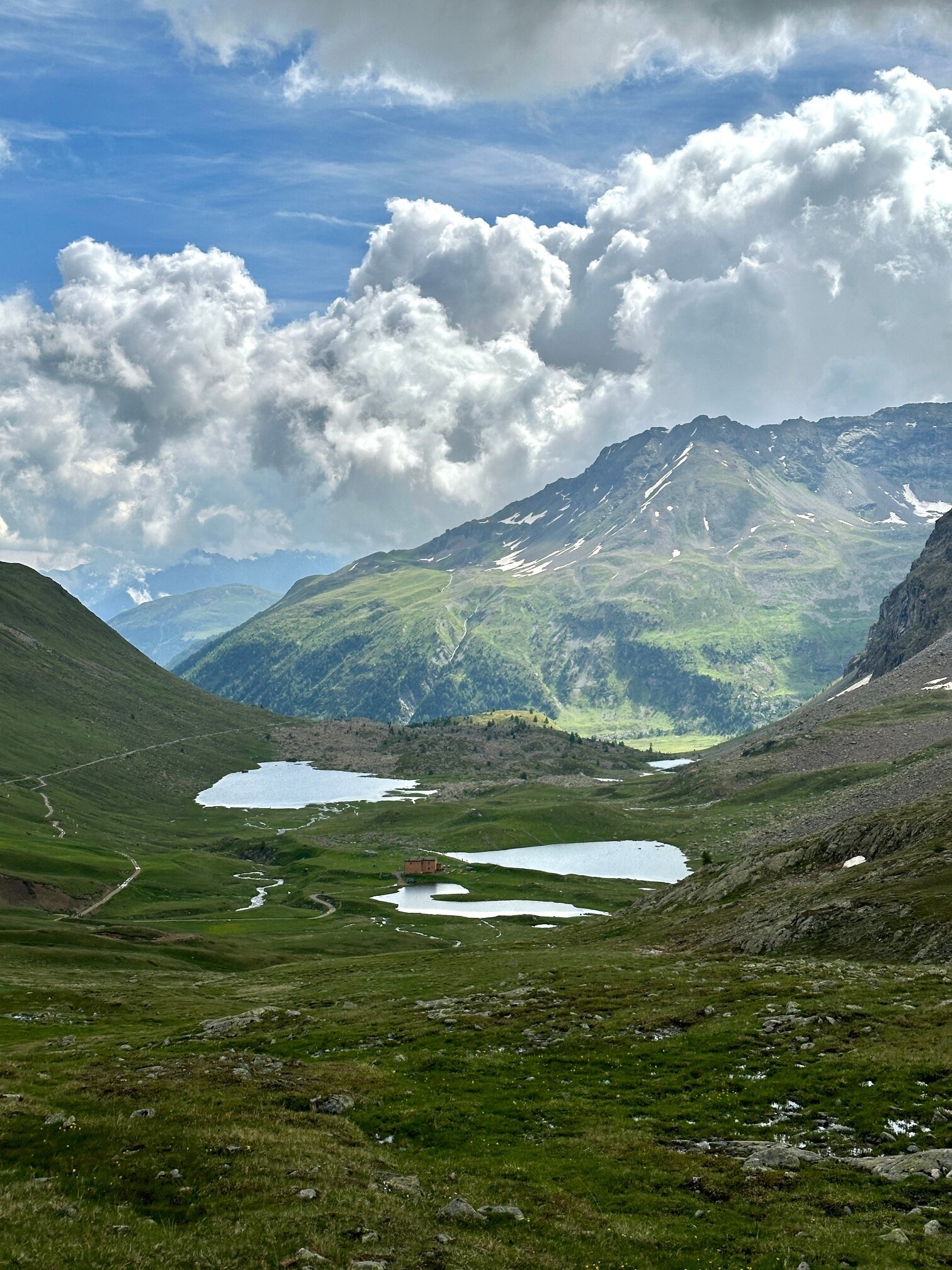 Img2 620004382 Default Variant