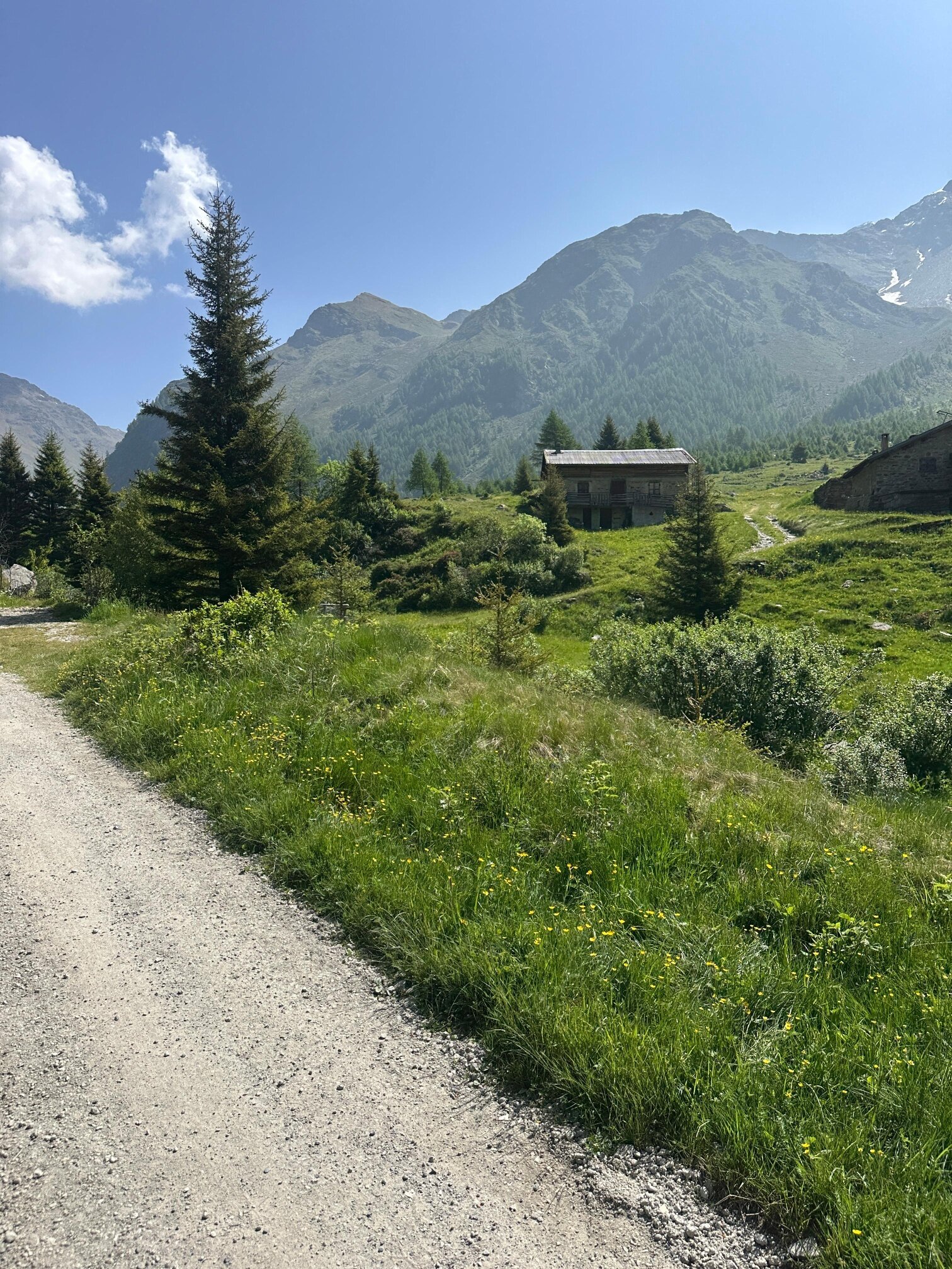 Img2 620004667 Default Variant