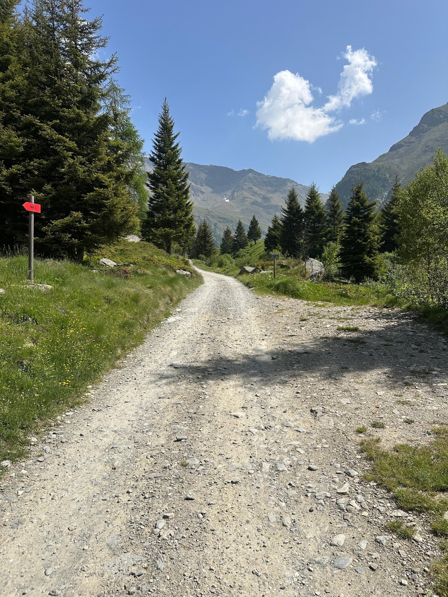 Img2 620004670 Default Variant