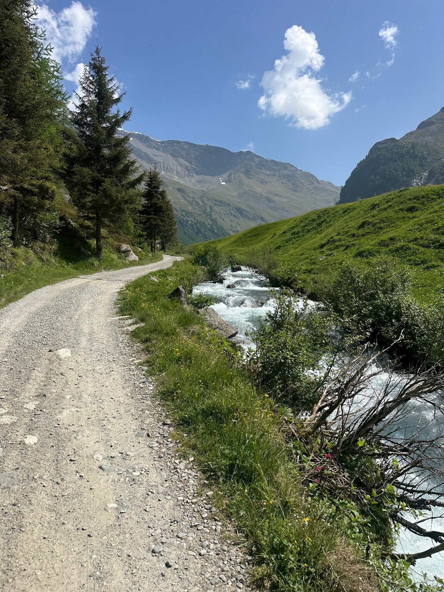 Img2 620004674 Default Variant