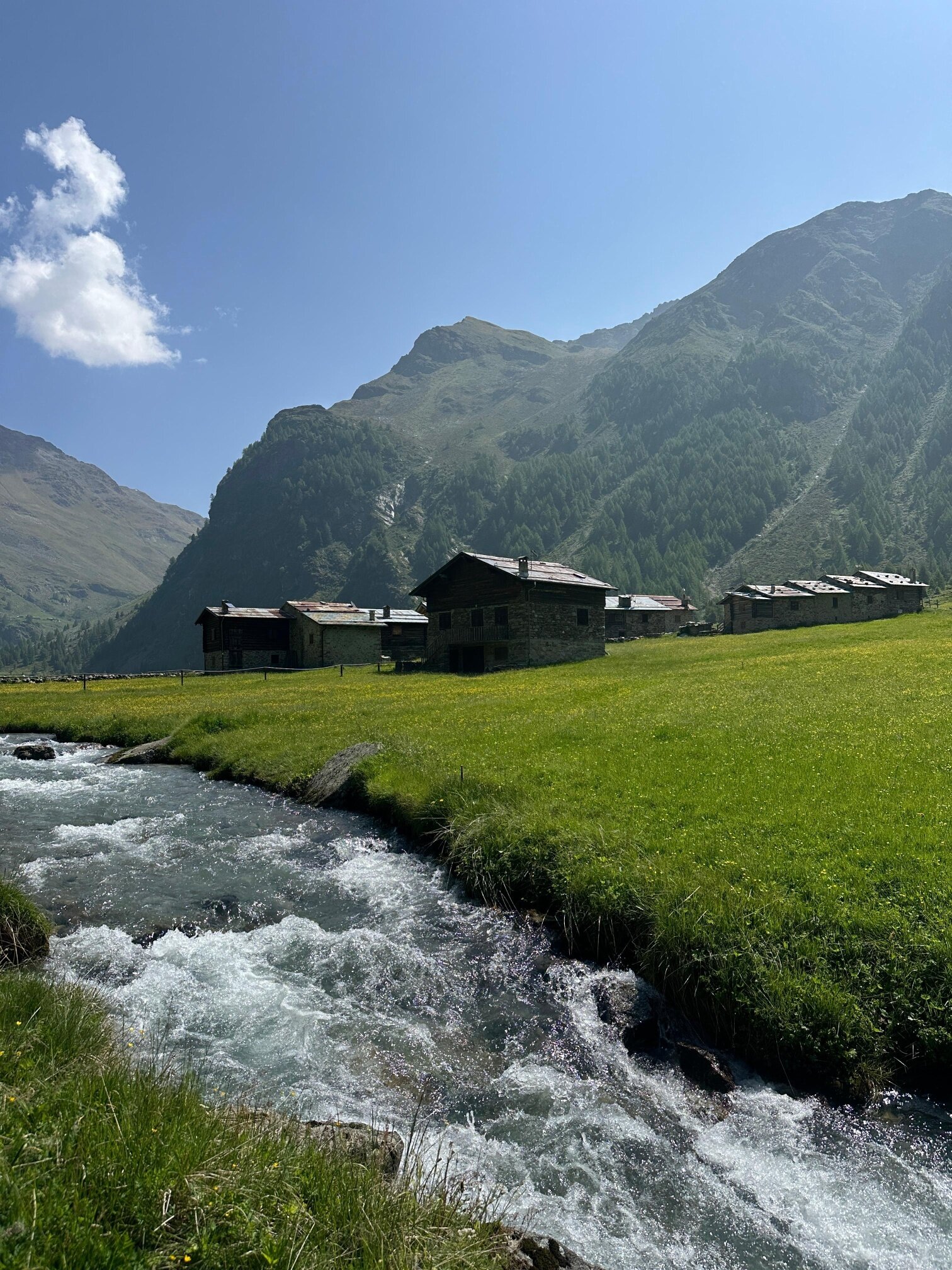 Img2 620004686 Default Variant