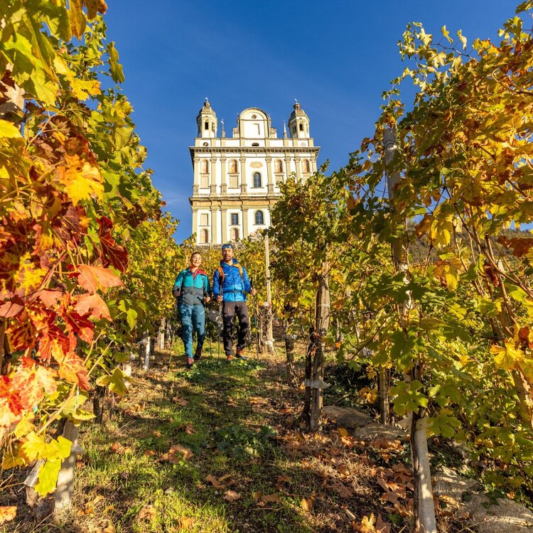 Alpine Marian Walk Western Route - Stage Sondrio Teglio