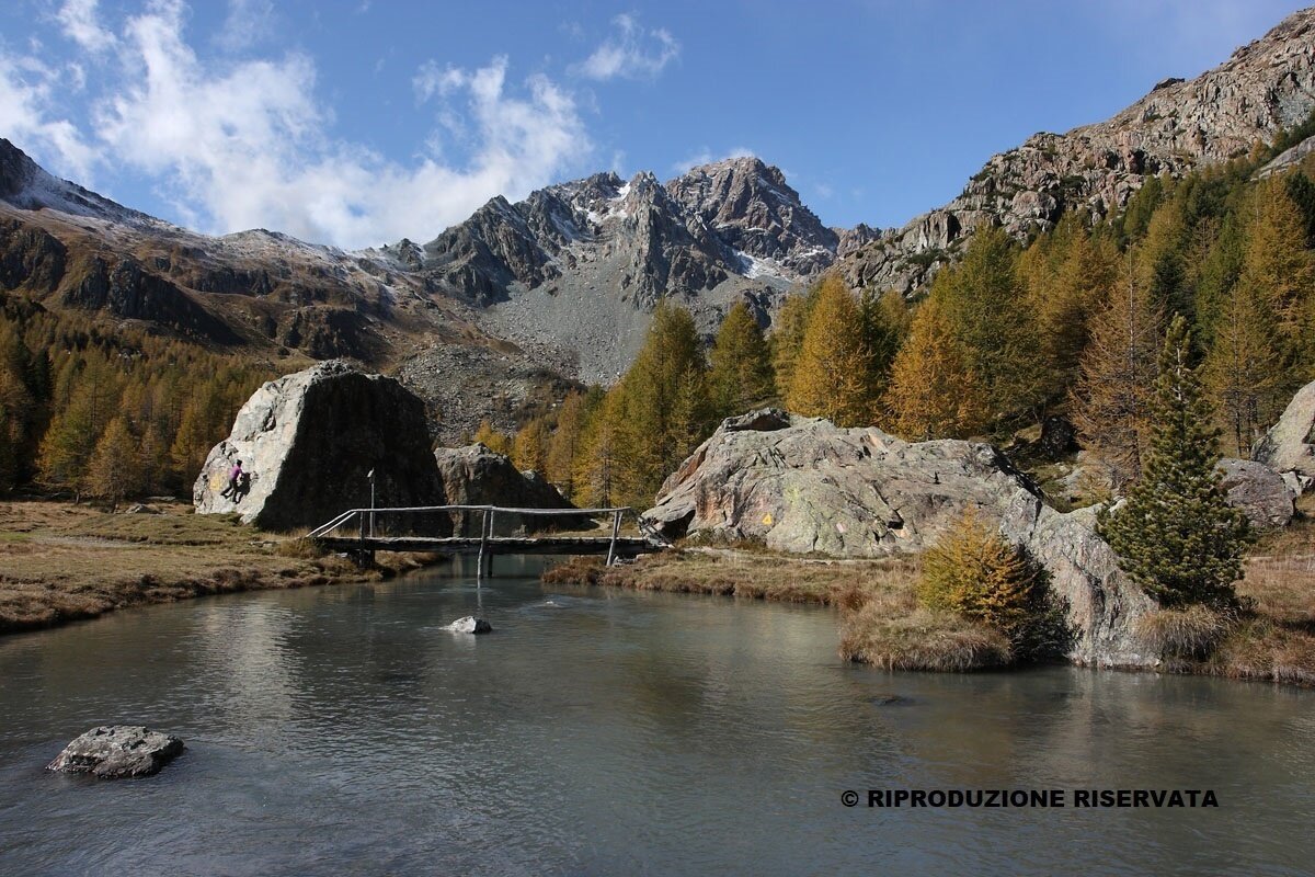 Alpe Airale Stream