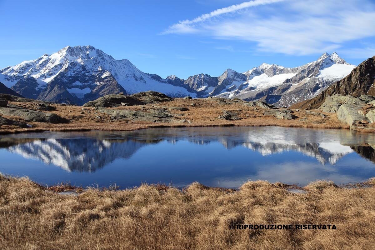 Pond plain price Alpe Fora