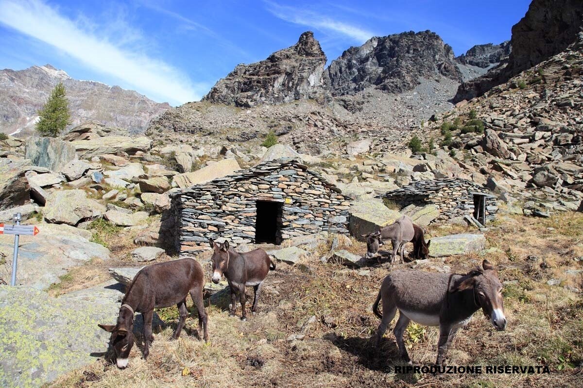 ruins alpe Sasso Nero