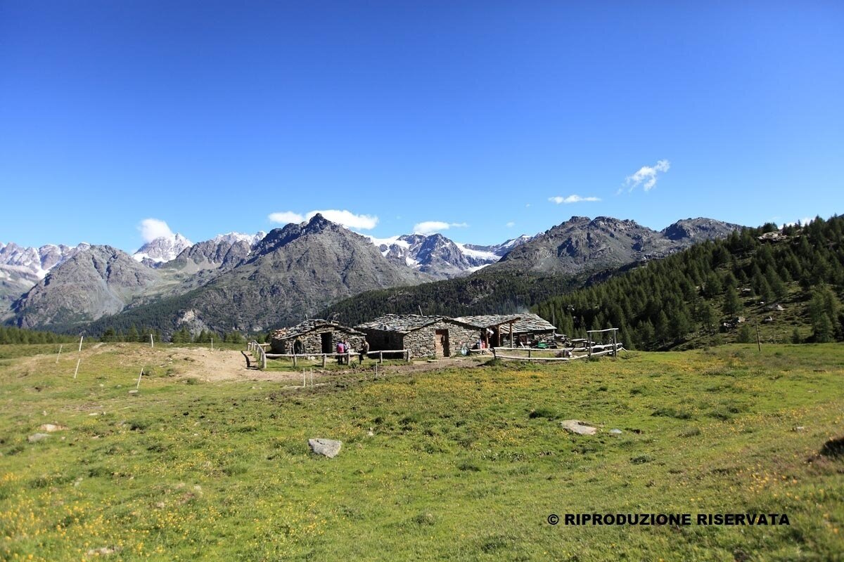 Acquanera Alp