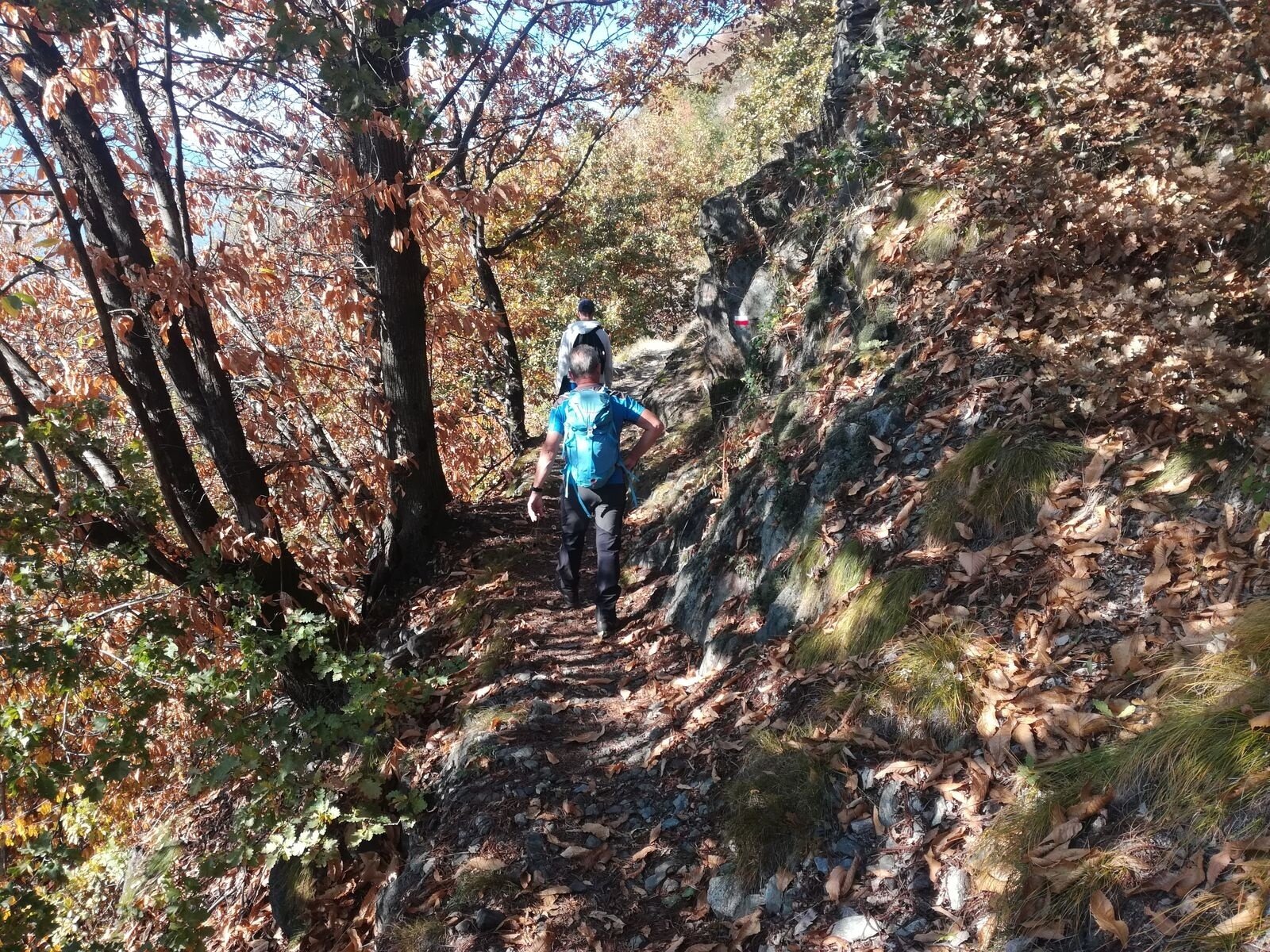 Img2 96364026 Default Variant