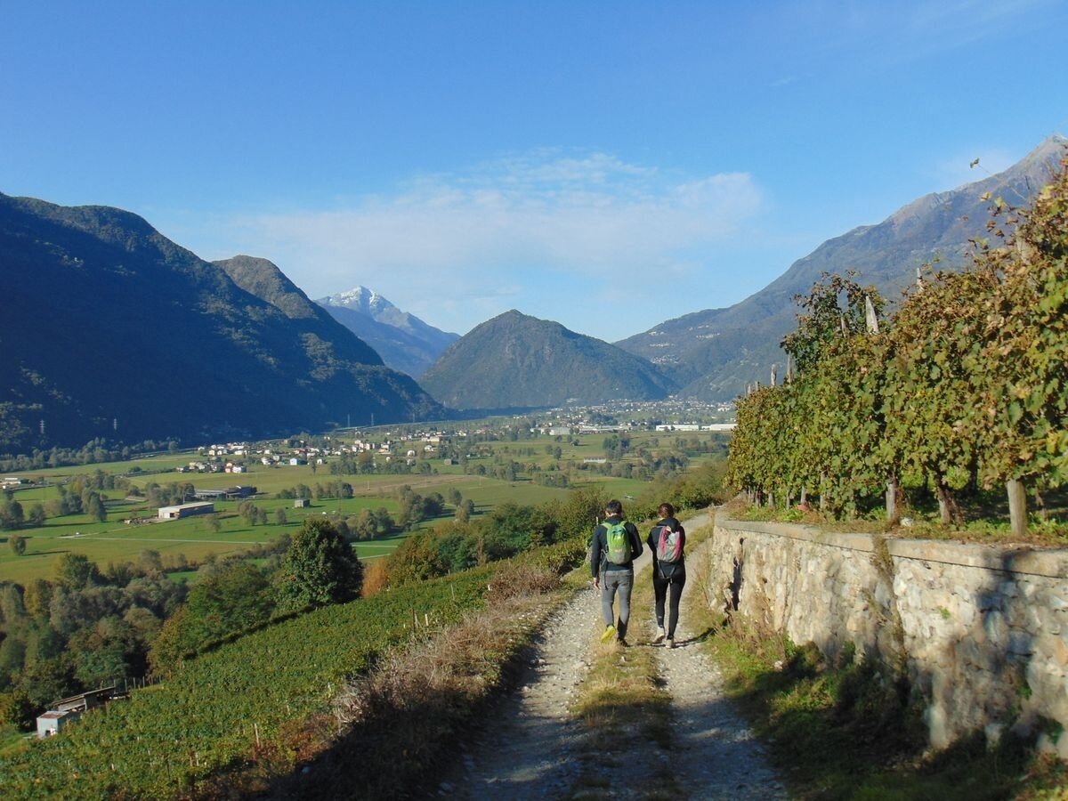 Pendeggio