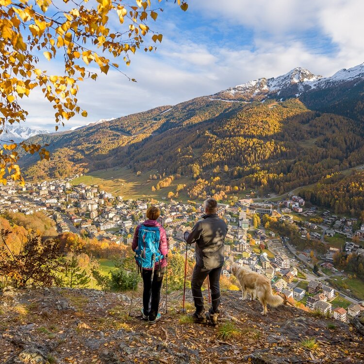 Sentiero Aprica - Monte Belvedere n. 351