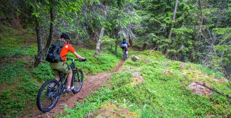 Aprica - Padrio - Pisce'