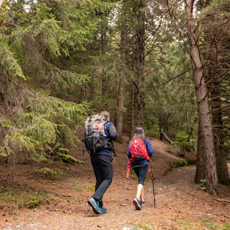 Sentiero Aprica - Piscè n. 351/B